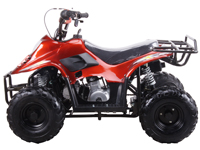 Kids 110cc ATV