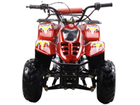 ATV Action Plan Approved 110cc ATV