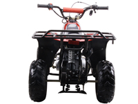 ATV Action Plan