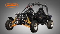 800cc Buggie